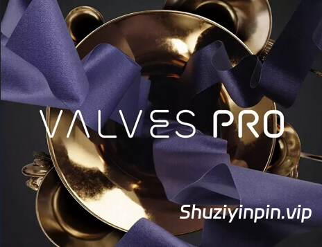 [铜管独奏合奏音源] Native Instruments Valves Pro v1.0.1 [KONTAKT]（30.06GB）