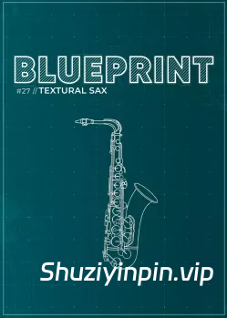 [纹理萨克斯音源] Fracture Sounds Blueprint Textural Sax (Woodwind Experiments) [KONTAKT]（405MB）