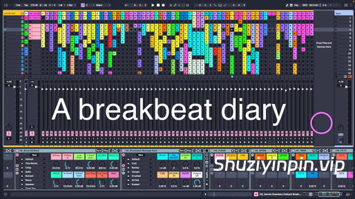 [终极 Ableton Breakbeat 模板] Human Synthetics Pure Breaks Vol.1 [DAW Templates]（171MB）