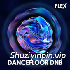 [FLEX预置鼓打贝斯] Image-Line Dancefloor DnB [Synth Presets]（21MB）