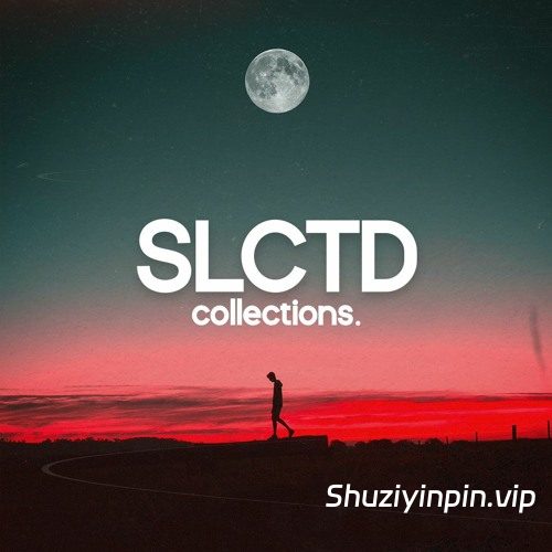 [深邃浩室采样] SIIK Sounds SLCTD collections. Sample Pack [WAV]（861MB）