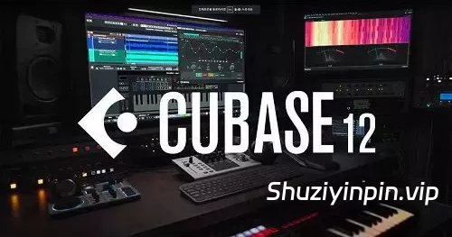 [免安装便携版] Steinberg Cubase Pro PORTABLE v12.0.70 [WiN]（569.73 MB）