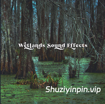 [湿地音效FX素材] Close to Nature Music Ensemble Wetlands Sound Effects [FLAC]（326MB）