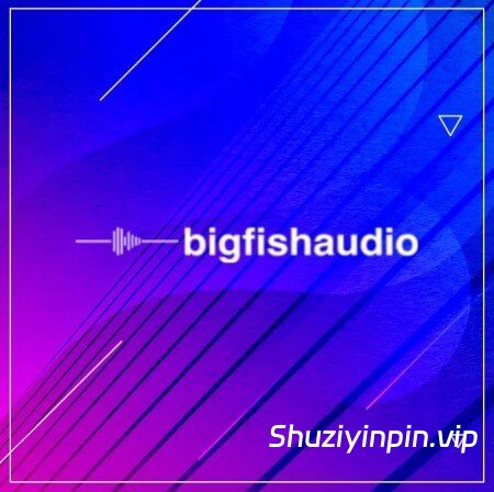 [影视流行氛围摇滚素材] Big Fish Audio Loops for MOTU [WAV, MiDi]（1.69GB）