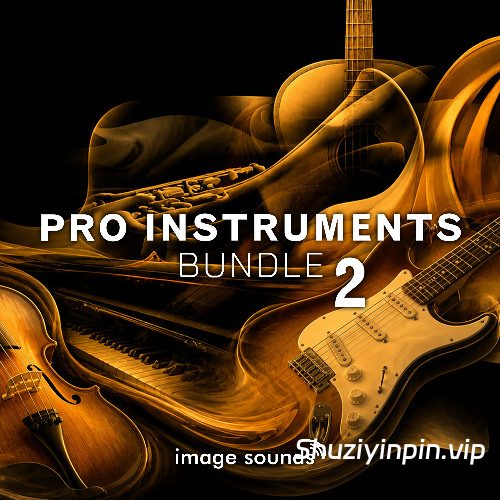 [Steinberg Pro 乐器套装] Steinberg Pro Instruments Bundle 2 [VSTSOUND]（30.95GB）