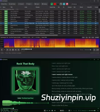 [AI 检测 频谱分析完整工具包] AudioAuditor v1.8.0 STANDALONE PORTABLE [WiN]（74.6MB+79.9MB）
