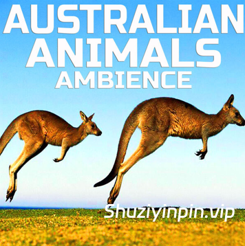 [澳大利亚动物音效FX素材] Cloud Nine Records Australian Animals Ambience [FLAC]（60MB）