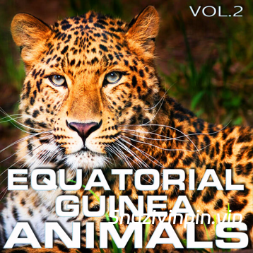 [赤道几内亚动物音效FX素材] Cloud Nine Records Equatorial Guinea Animals Vol.2 [FLAC]（94MB）