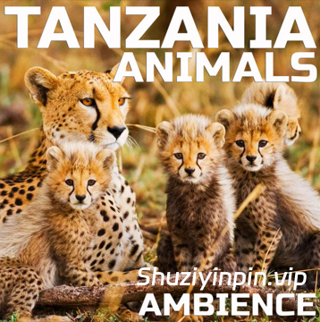 [坦桑尼亚动物氛围音效FX素材] Cloud Nine Records Tanzania Animals Ambience Vol.2 [FLAC]（106MB）