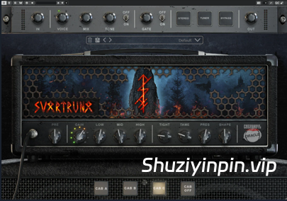 [极致震撼的吉他音箱模拟器] Oracle Sound Chernobyl Audio SVARTRUNA RETAiL [WiN]（22.73MB）