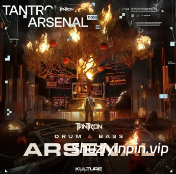 [FL工程模板鼓打贝斯] Kulture Samples Tantrons Drum And Bass Arsenal [DAW Templates]