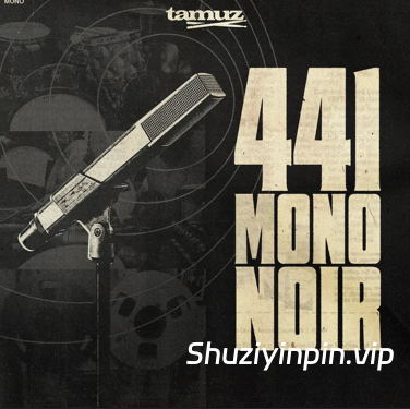 [完整的 Tamuz 鼓组节奏合集] Tamuz 441 Mono Noir Single Mic Drum Breaks [WAV]