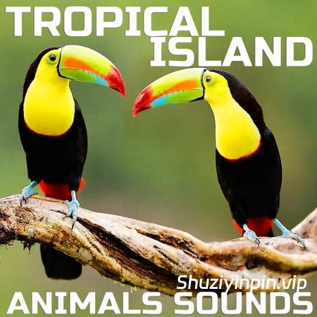 [热带岛屿动物音效FX素材]Cloud Nine Records Tropical Island Animals Sounds [FLAC]