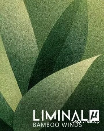 [竹笛音色库] Crocus Soundware Liminal µ: Bamboo Winds [KONTAKT]