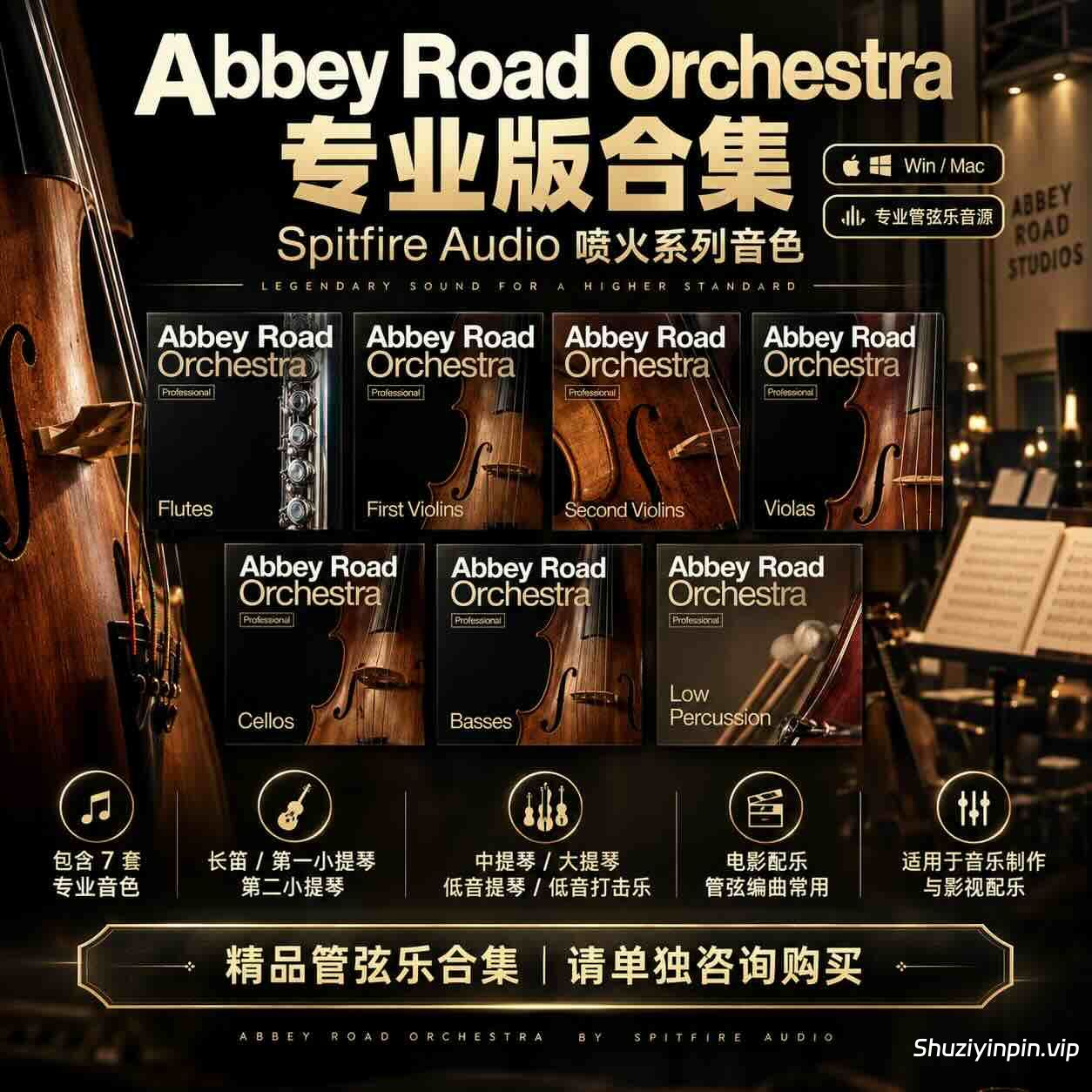 喷火 Spitfire Audio Abbey Road Orchestra Professional 专业管弦乐音源合集 WiN MAC