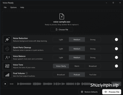[语音降噪平衡控制应用] Voice Ready v1.0.2 [WIN]