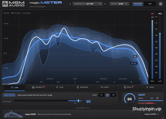 [人声分析器] MBM Audio magic.METER v1.0.2 VST3 AU AAX [WiN, MacOSX]